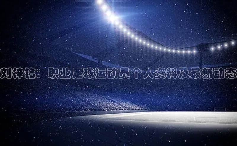 辉达App登录入口百度翻译App刘梓铭：职业足球运动员个人资料及最新动态