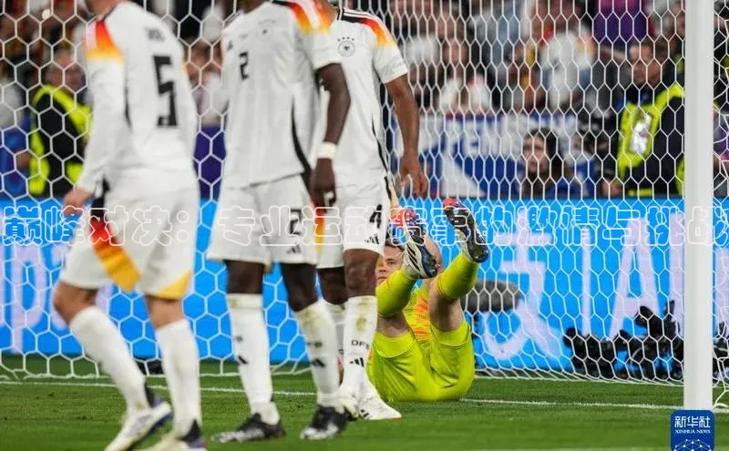 巅峰对决：专业运动赛事的激情与挑战