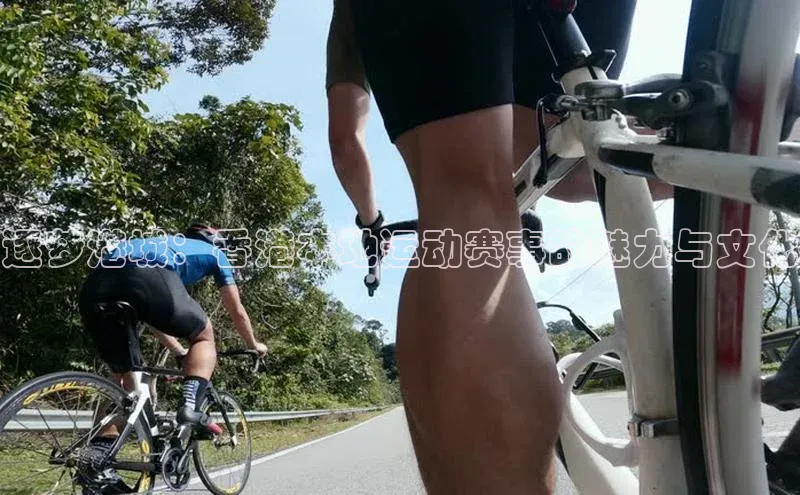 逐梦港城：香港本地运动赛事的魅力与文化