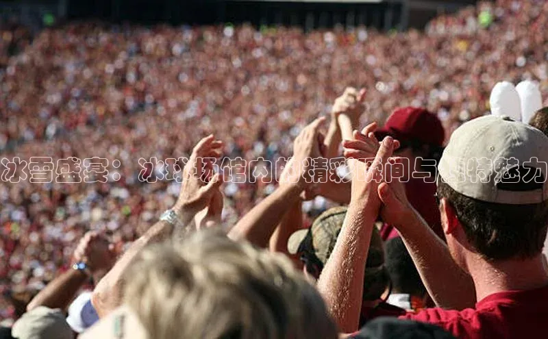 冰雪盛宴：冰球场馆内的精彩瞬间与独特魅力