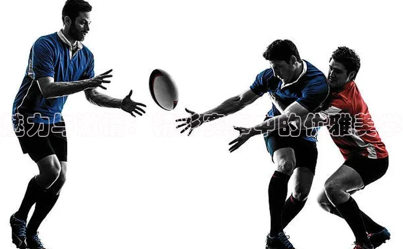 魅力与激情：精彩赛事中的优雅美学