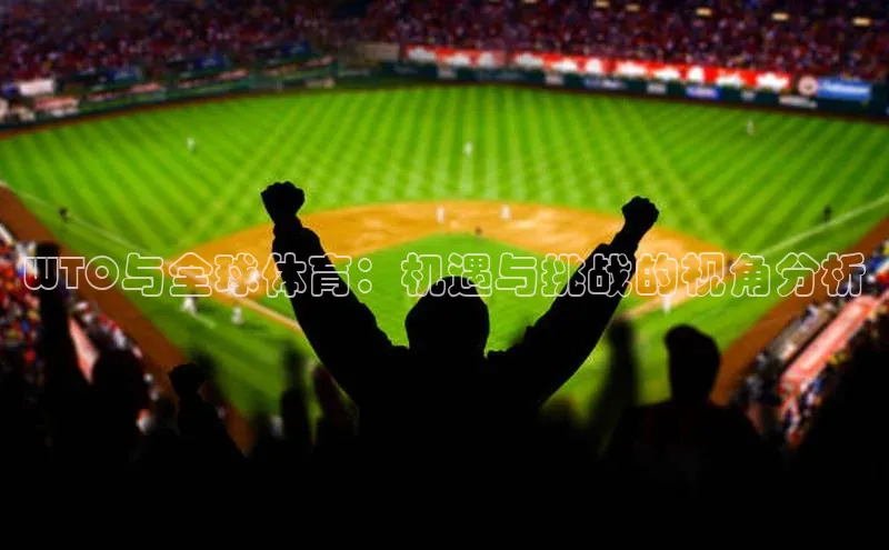 WTO与全球体育：机遇与挑战的视角分析
