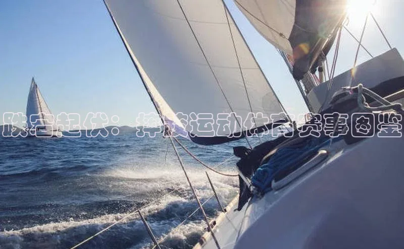 跌宕起伏：摔跤运动体育赛事图鉴