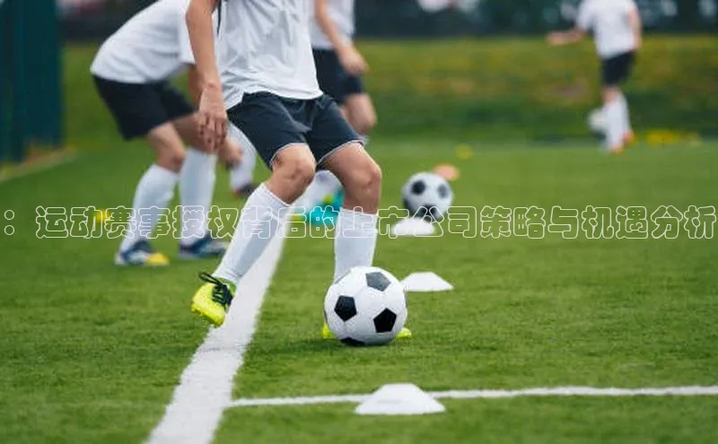 ：运动赛事授权背后的上市公司策略与机遇分析