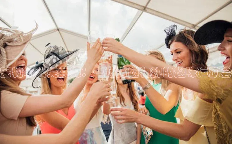 宠物与人类共舞：一场跨越物种的趣味运动会