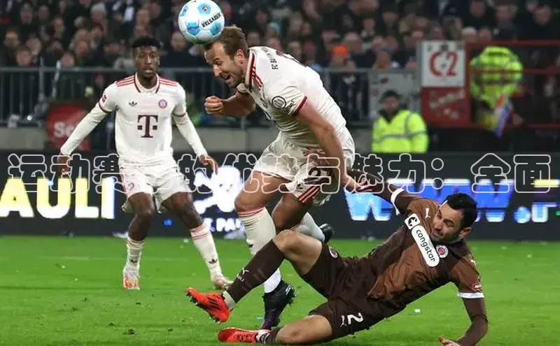 辉达娱乐平台app下载