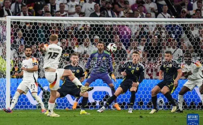 杭州运动盛会：构建和谐团队的精彩赛事篇章