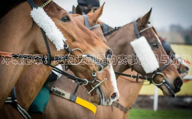 辉达app官方下载