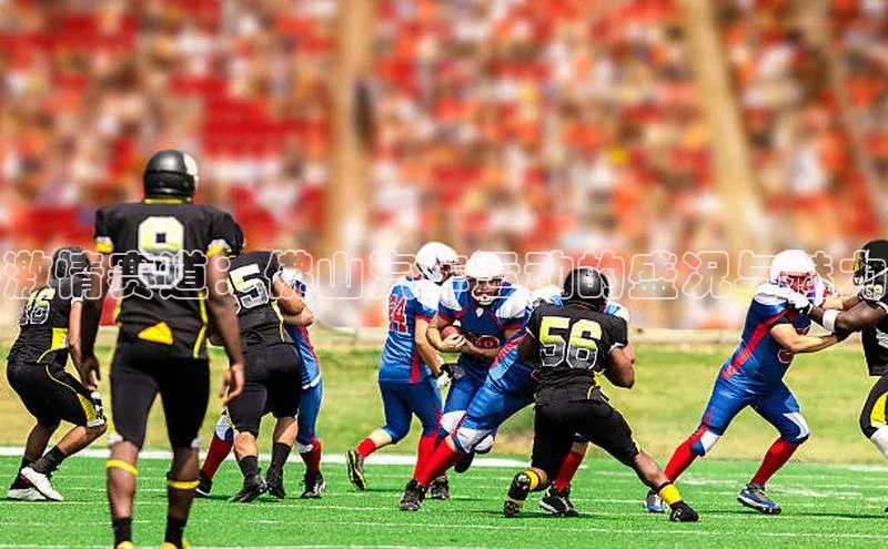 辉达注册官网入口网址