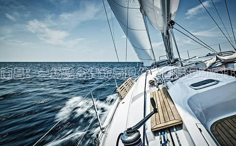 辉达注册官网入口网址