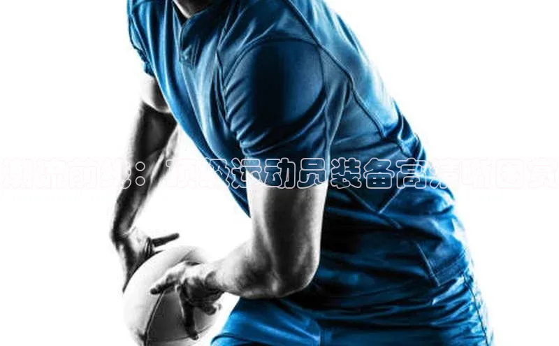 辉达娱乐app官网入口