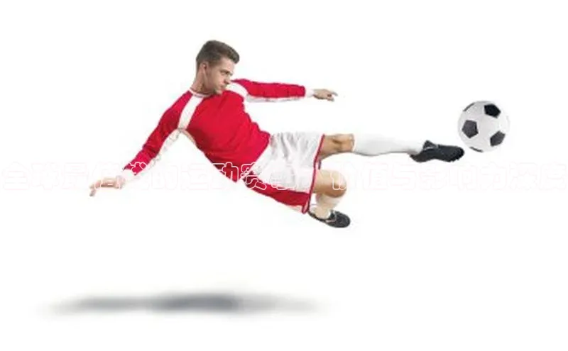 辉达娱乐app官网入口