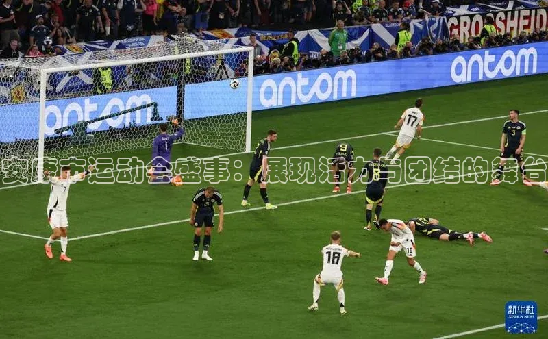 安康市运动会盛事：展现活力与团结的舞台